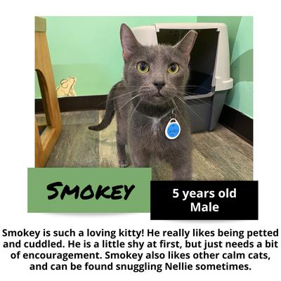 gallery photo number 8