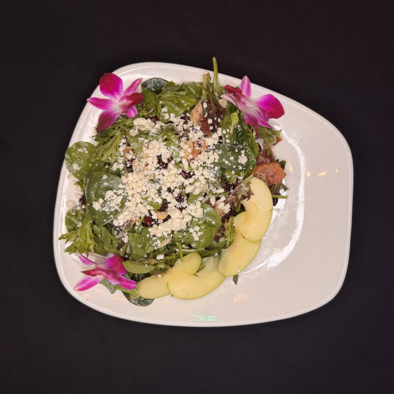 Apple cran salad photo