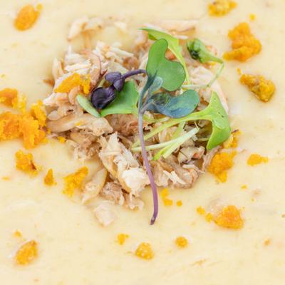 Extreme close up of crab soup, top view