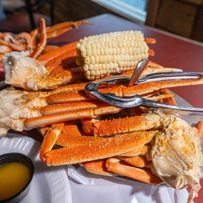 gallery photo number 107