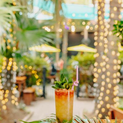 A sidecar cocktail served on a bar counter with the patio tropical setting in the backgorund.
