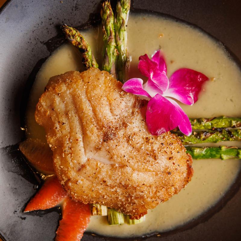 Gulf Coast Grouper photo