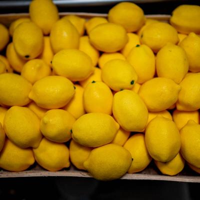 gallery photo number 24