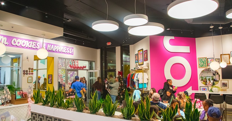 Colorful interior with plants