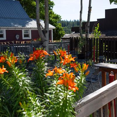 gallery photo number 4