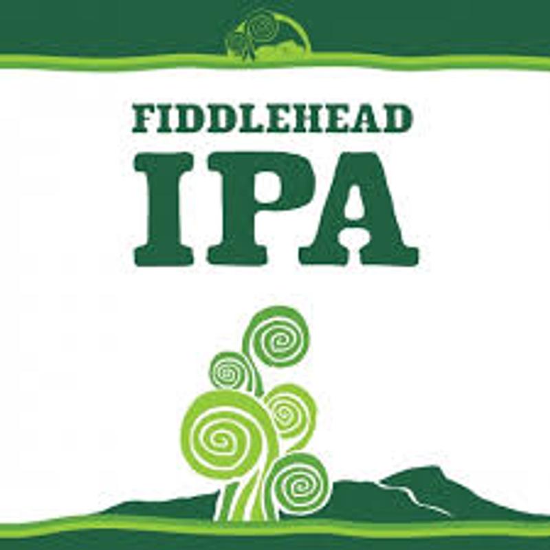 Fiddlehead photo