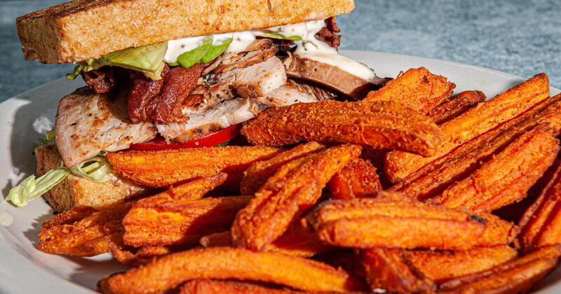 Double smoked turkey sandwich, fries on the side closeup