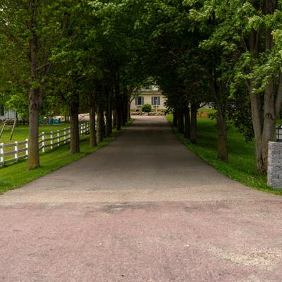 gallery photo number 4