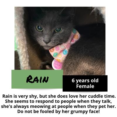 gallery photo number 9