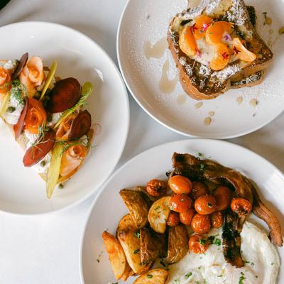 Various served meals.