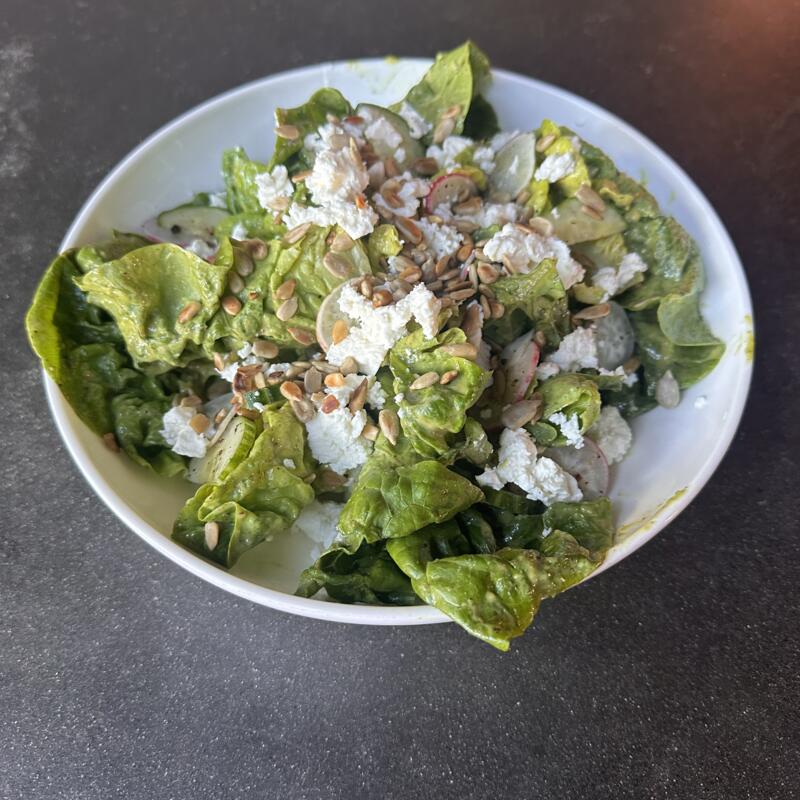 Little Gem Lettuces photo