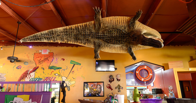 Restaurant interior, various decorations and taxidermy alligator flat skin on the ceiling