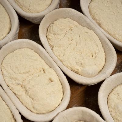 Sourdough dough resting in floured proofing baskets.