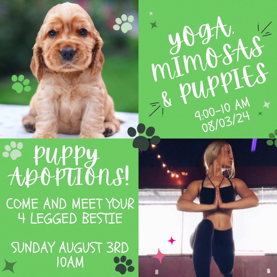 Puppy Yoga & Mimosas! event photo