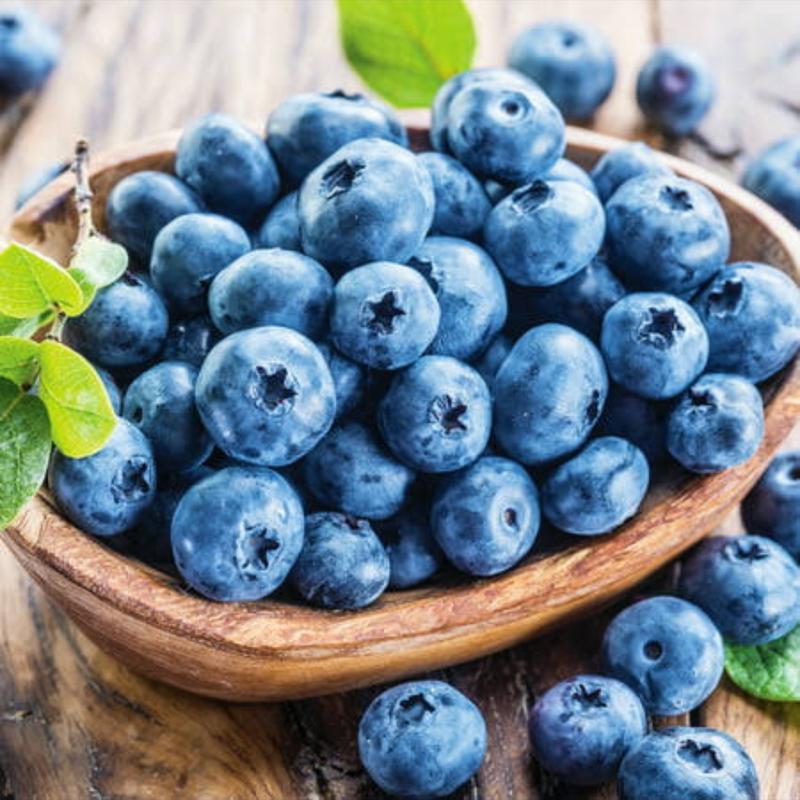 Fresh Blueberries photo