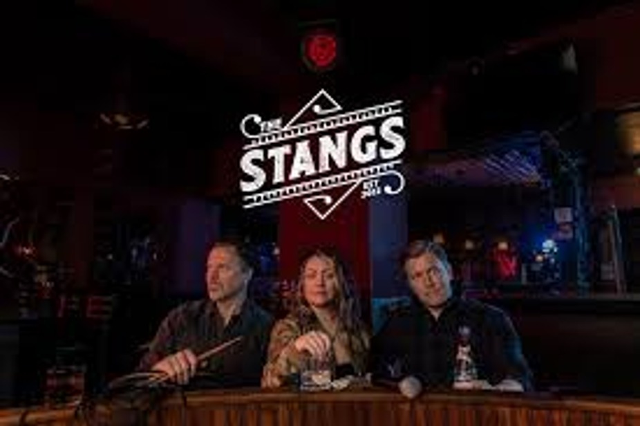 Live Music- The Stangs event photo