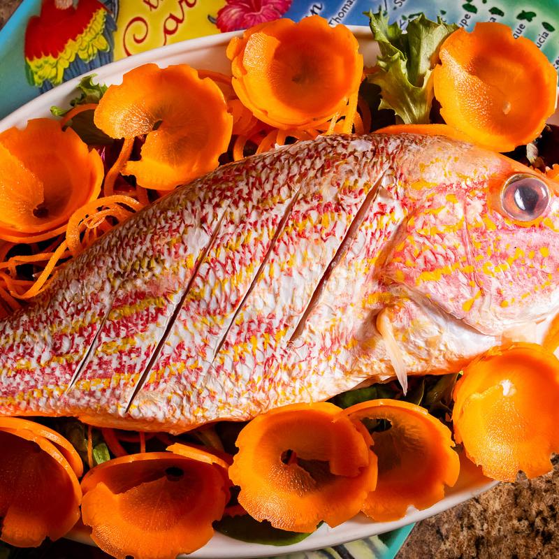 St. Lucia Snapper photo