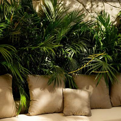 gallery photo number 1