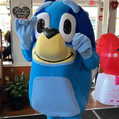 gallery photo number 8