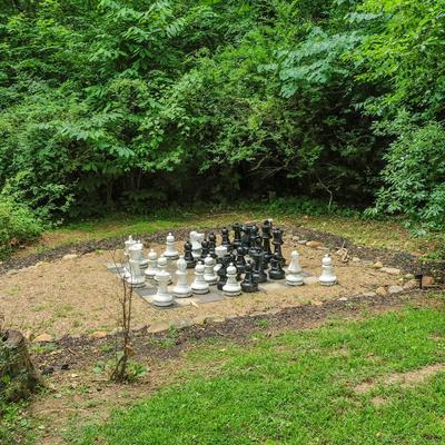 A large chess set on the grass surrounded by trees.