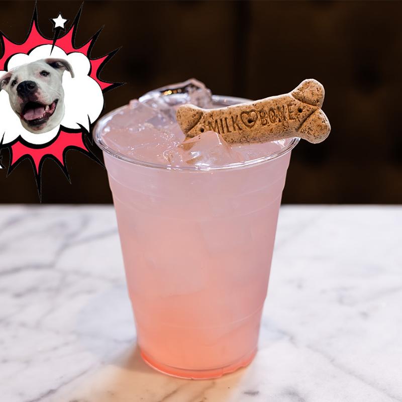 Ludwig's Lemonade photo