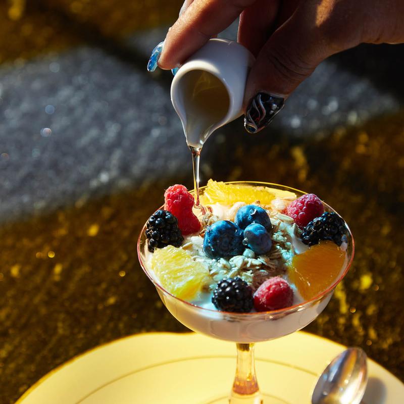 House Yogurt (V) photo