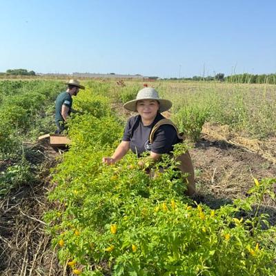 gallery photo number 6