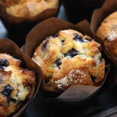 gallery photo number 12