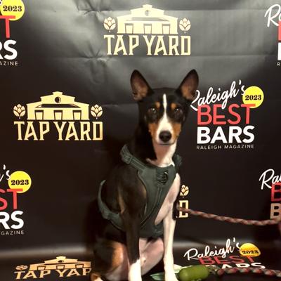 gallery photo number 17