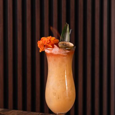 gallery photo number 4