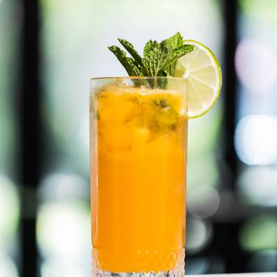 gallery photo number 22