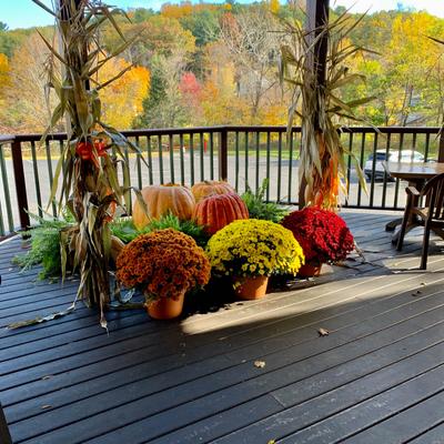 Potted flowers and decorative pumpkins.