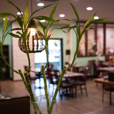 Dining area, decorative bamboo plant.