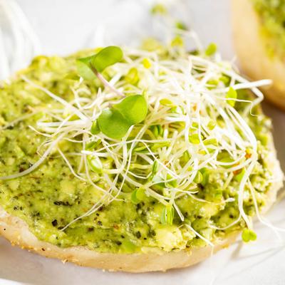Avocado Toast