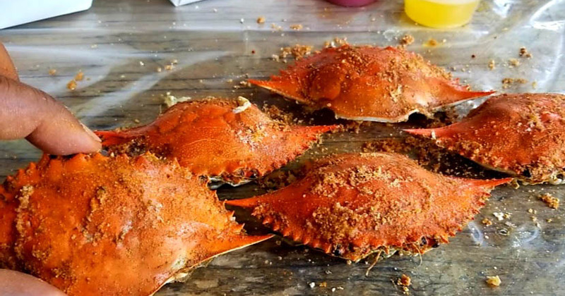 Crab shells