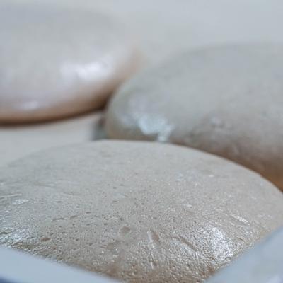 gallery photo number 102