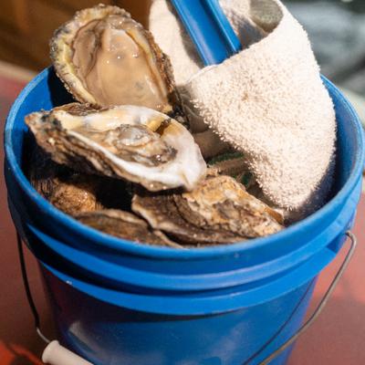 gallery photo number 127