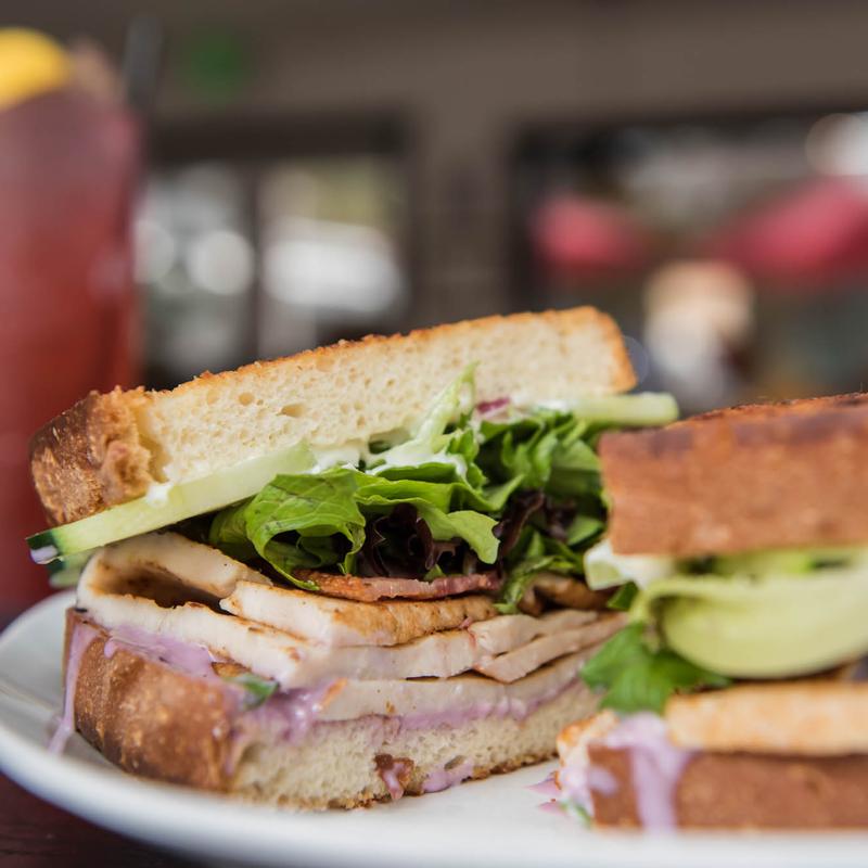 turkey huckleberry photo