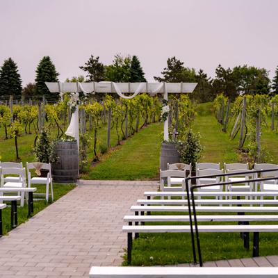 gallery photo number 95