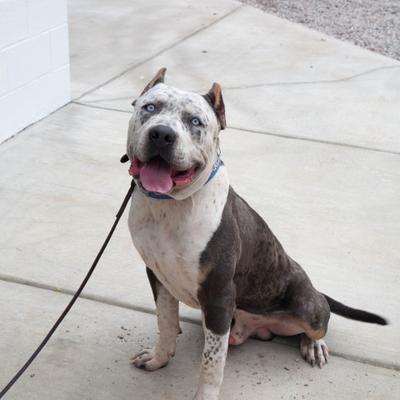 gallery photo number 26