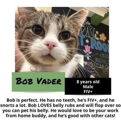 gallery photo number 9