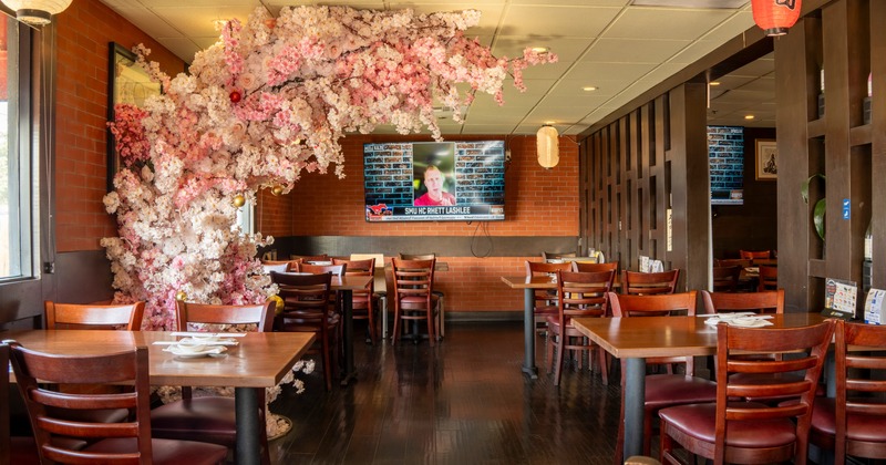 Dining area with a cherry blossom tree