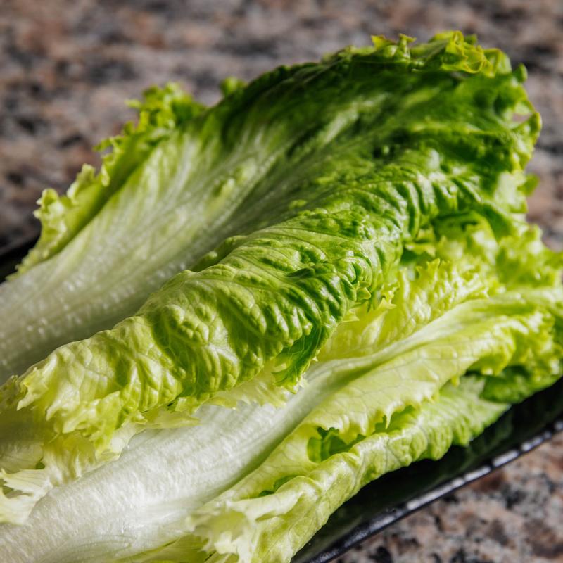 Lettuce Leaf (상추) photo