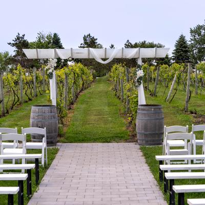 gallery photo number 28