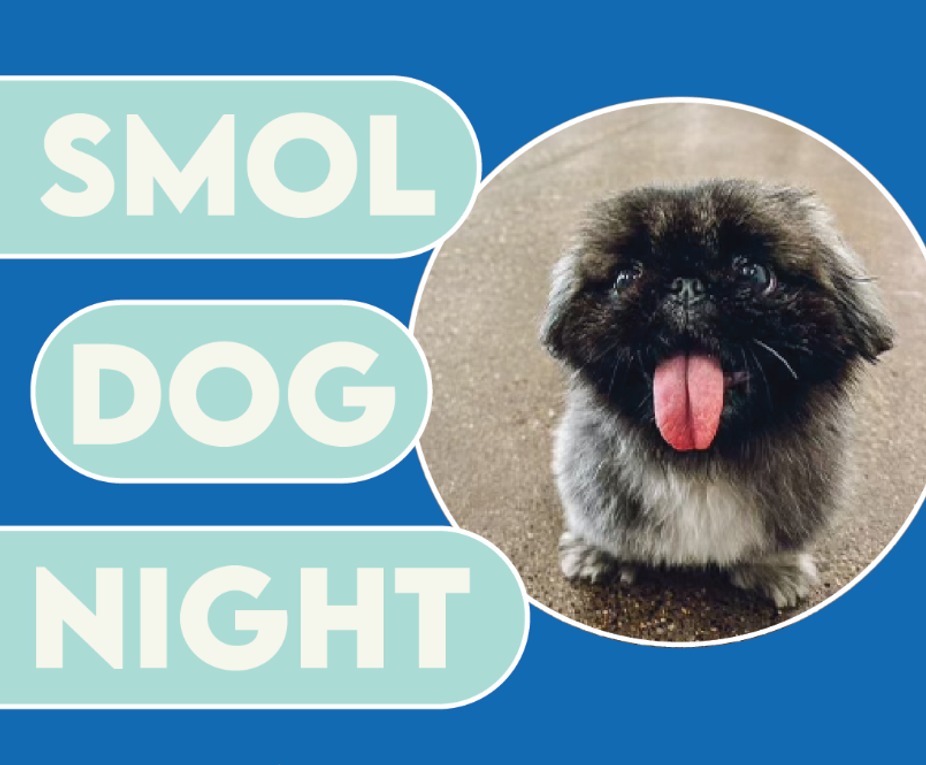SMOL DOG NIGHT event photo
