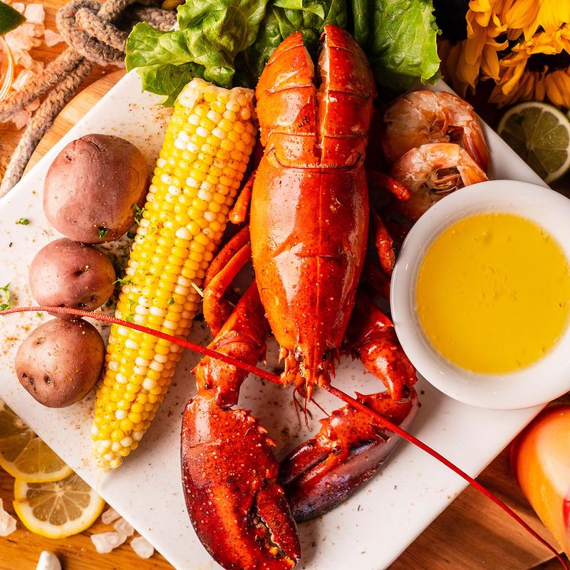 1 ¼ lbs. Live Maine Lobster photo