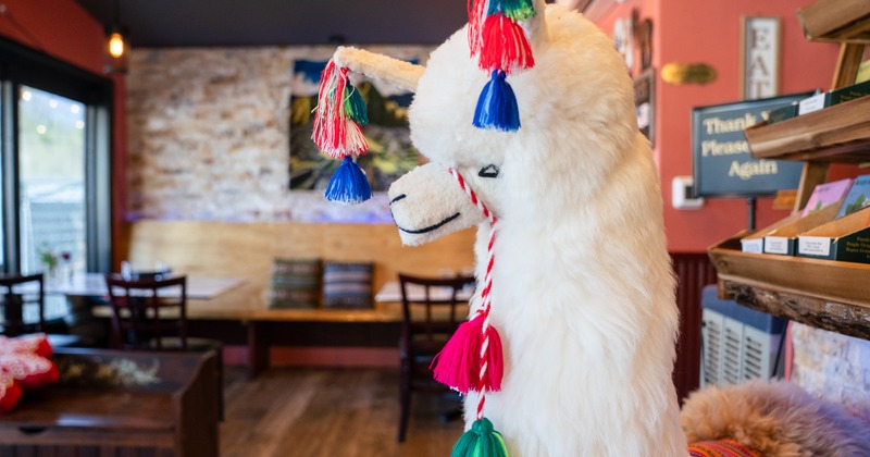 Diner area, llama doll in front