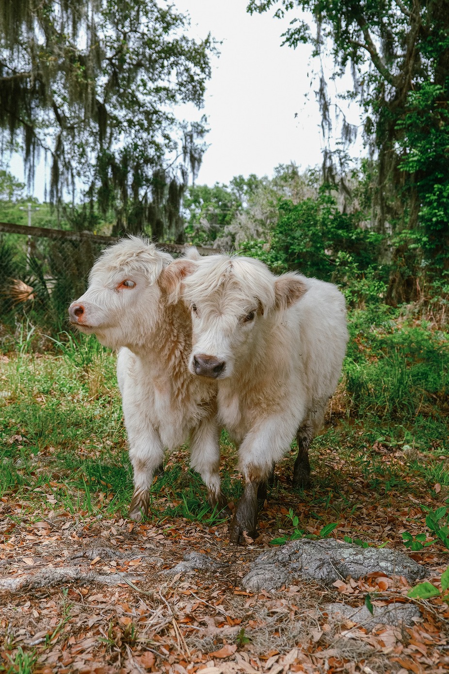 Weekend Wine-Down event photo