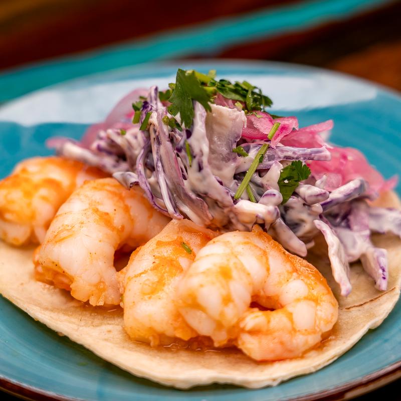 Shrimp photo