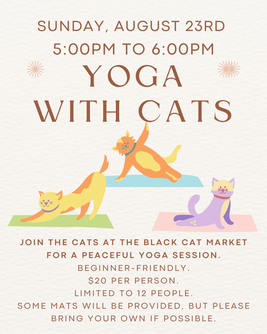 Yoga with Cats - August 23rd event photo